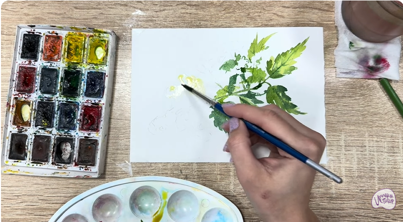 Рисуем Таволга