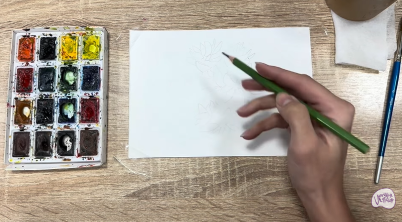 Рисуем Очиток