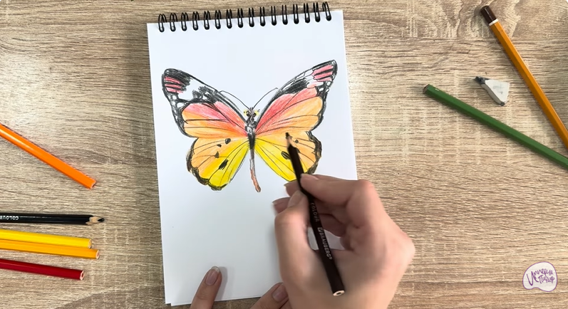 Рисуем Малинница обыкновенная