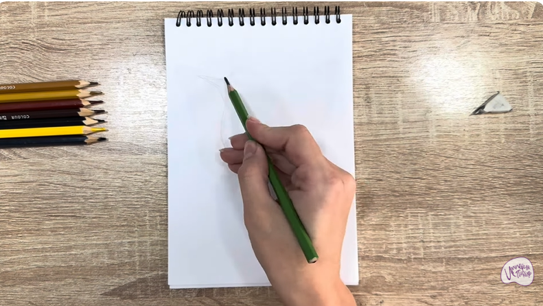 Рисуем Крапивник