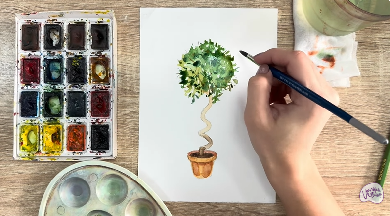 Рисуем Мирт обыкновенный