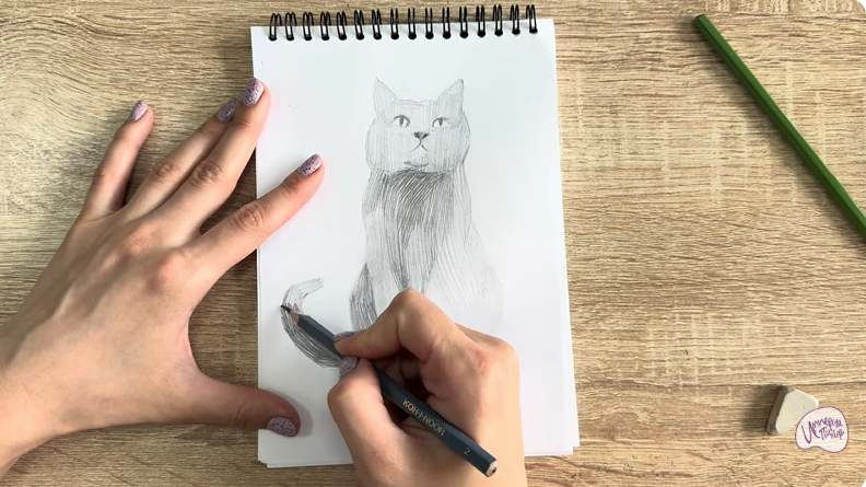 Рисуем Кот породы Шартрез