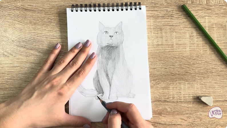 Рисуем Кот породы Шартрез