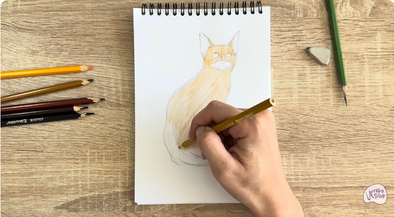 Рисуем Кошка Тойгер