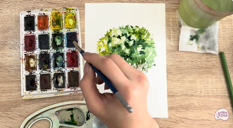 Рисуем Саженец бирючины