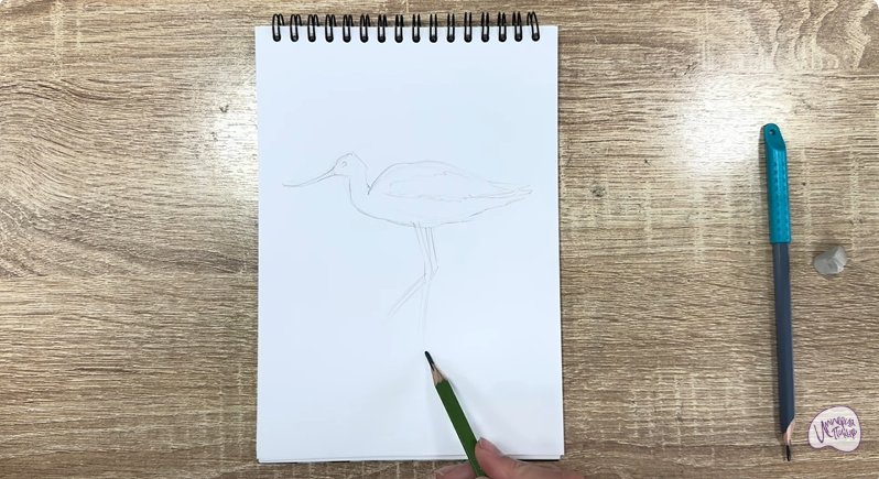 Рисуем Шилоклювка