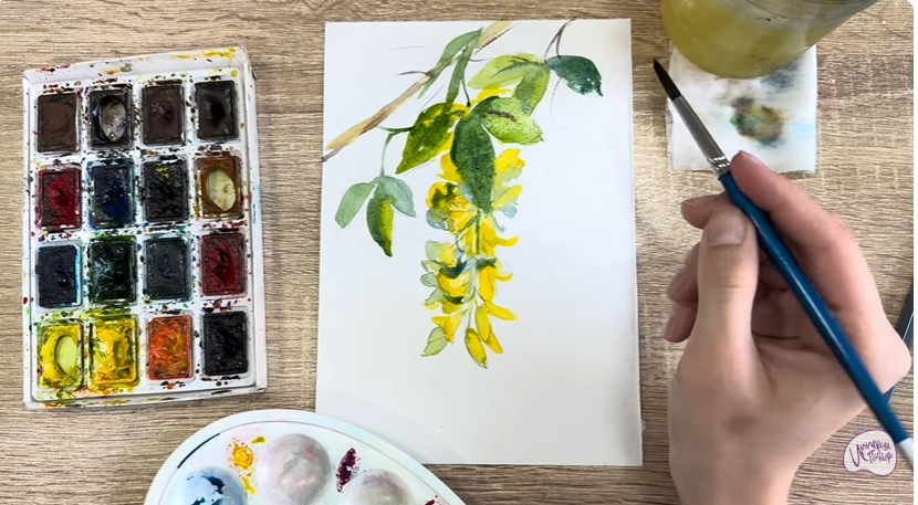 Рисуем Ветка бобовника