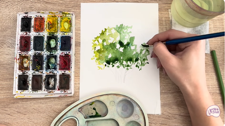 Рисуем Саженец бирючины