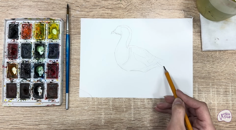 Рисуем Краснозобая казарка