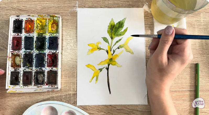 Рисуем Форзиция