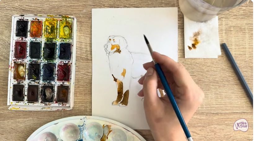 Рисуем Собака породы Бернский зенненхунд