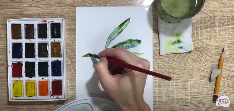 Рисуем Маслины
