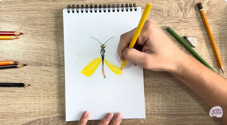 Рисуем Малинница обыкновенная