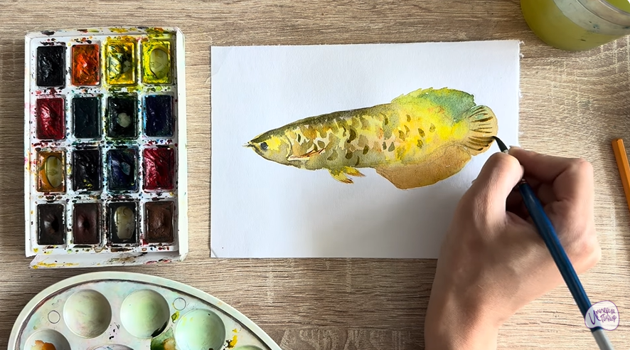 Рисуем Аравана