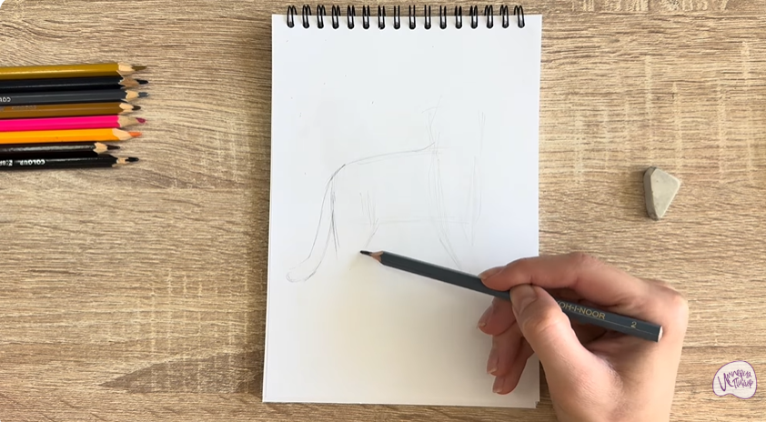 Рисуем Кошка Бурмилла