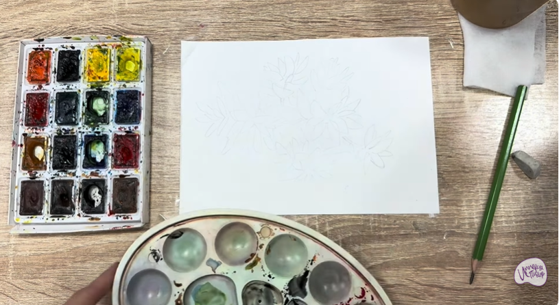 Рисуем Очиток