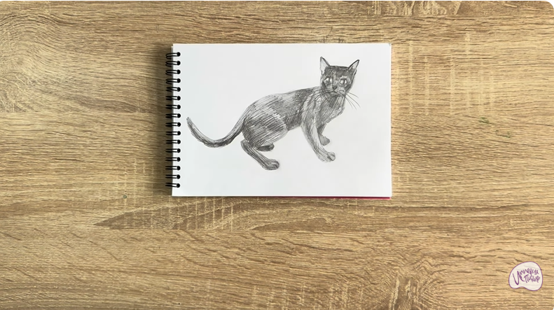 Рисуем Бомбейская кошка