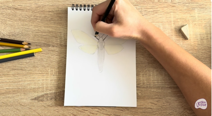 Рисуем Древесница въедливая