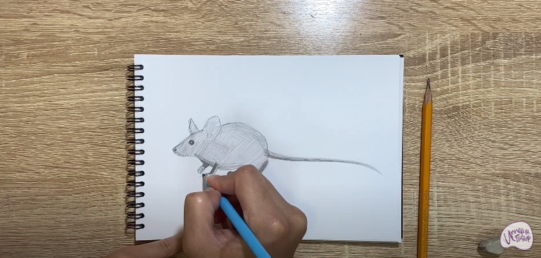 Рисуем Мышь
