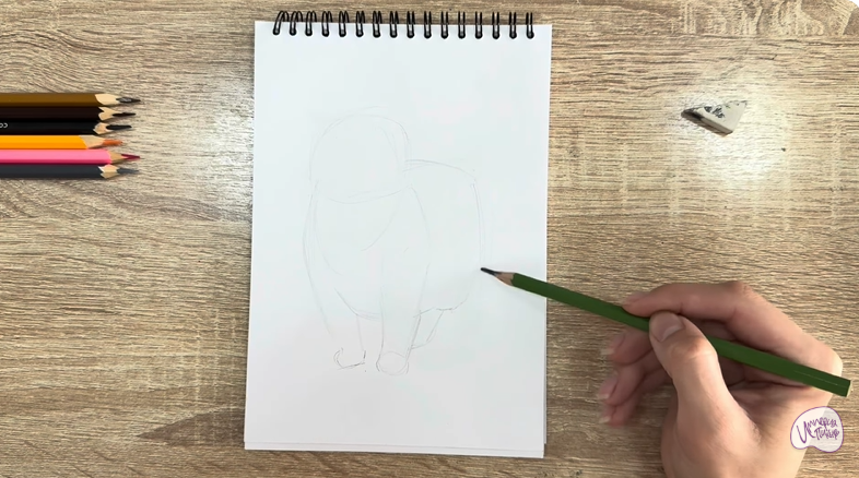 Рисуем Кошка породы "Манчкин"