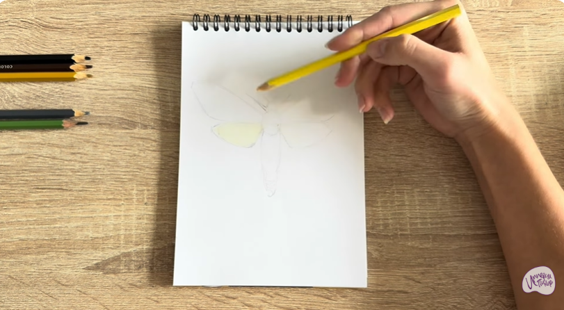 Рисуем Древесница въедливая