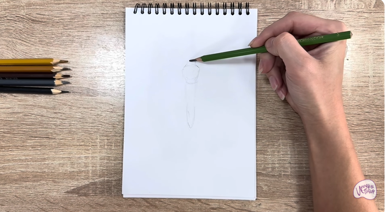 Рисуем Огнёвка зерновая