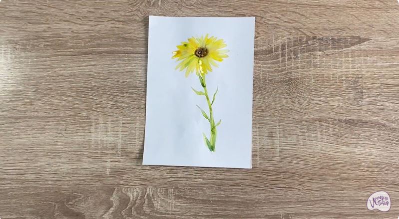 Рисуем Арника Рисуем Арника