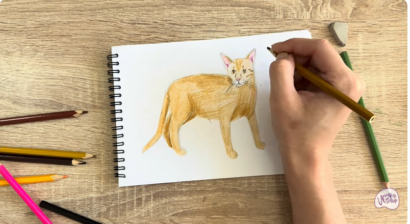 Рисуем Кот породы Оцикет