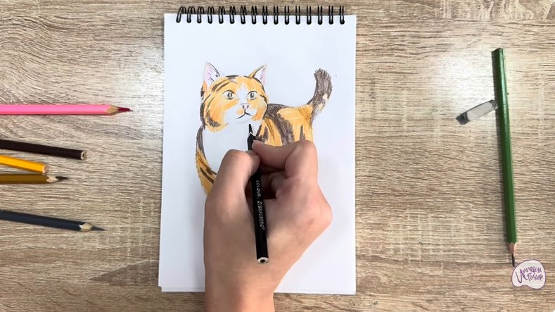 Рисуем Кошка породы "Манчкин"