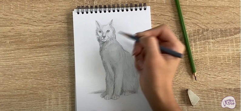 Рисуем Турецкая ангора
