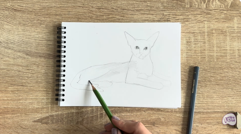 Рисуем Ориентальная кошка