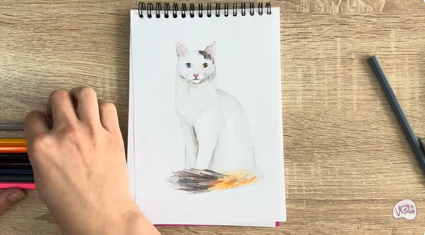Рисуем Кот породы "Турецкий ван"