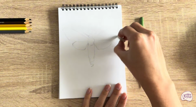 Рисуем Древесница въедливая