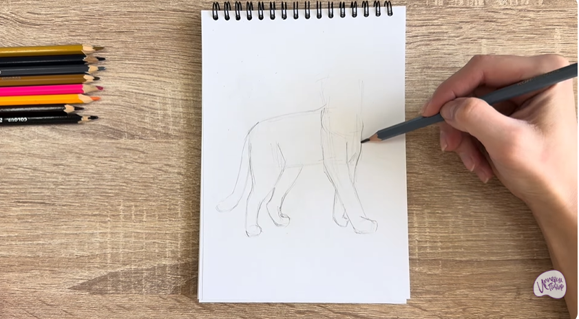 Рисуем Кошка Бурмилла