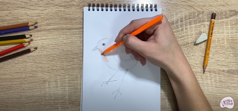 Рисуем Птичка "Зарянка"