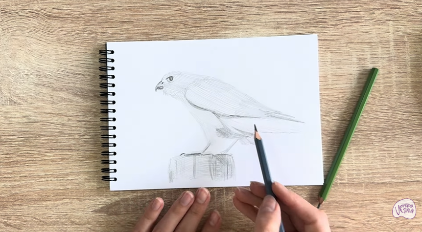 Рисуем Дербник