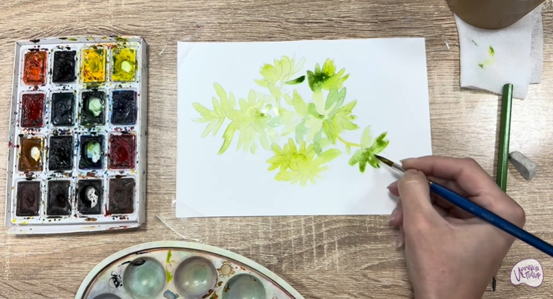 Рисуем Очиток