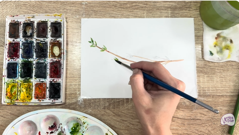 Рисуем Тимьян