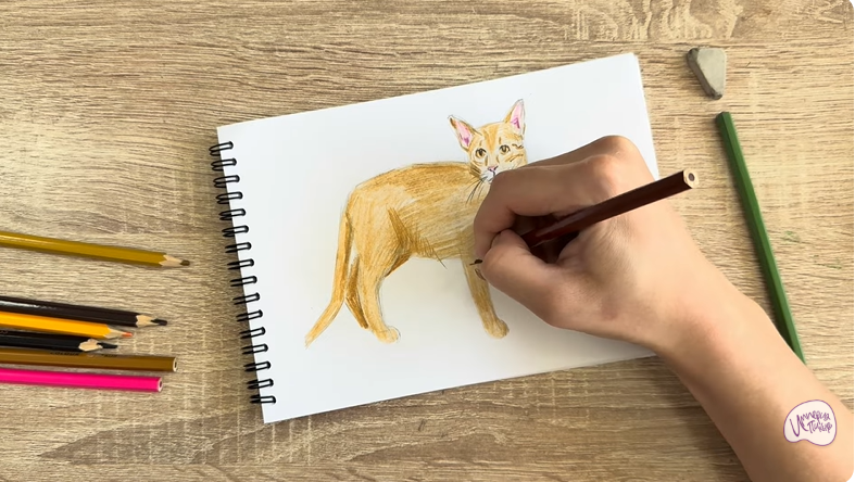 Рисуем Кот породы Оцикет