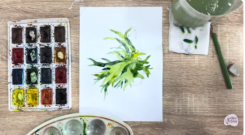 Рисуем Платицериум в горшке