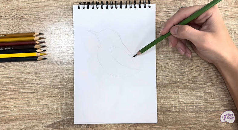 Рисуем Крапивник