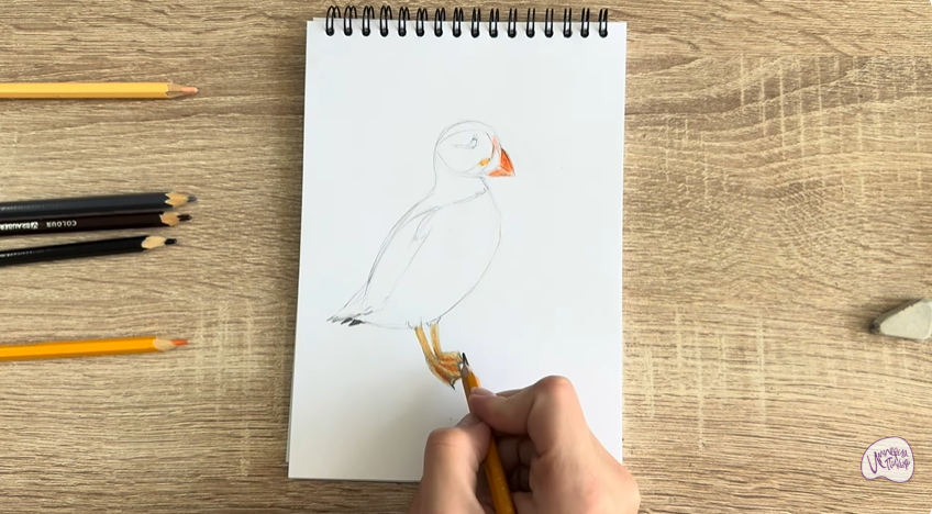 Рисуем Птица тупик