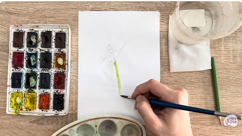 Рисуем Ясколка длинноволосая