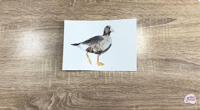 Рисуем Пискулька Рисуем Пискулька