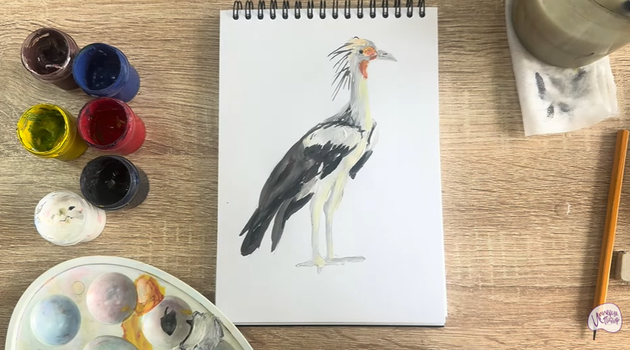 Рисуем Птица "секретарь"