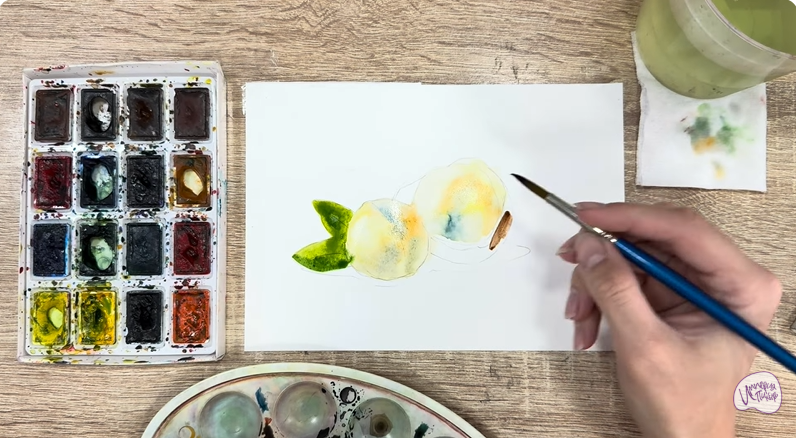 Рисуем Макадамия