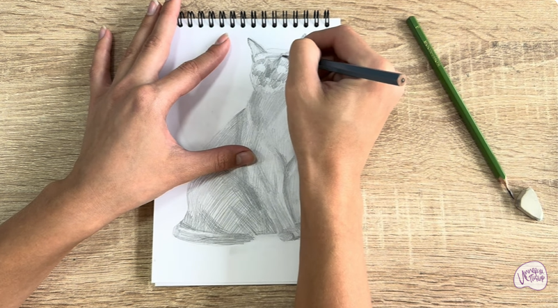 Рисуем Бурманский кот