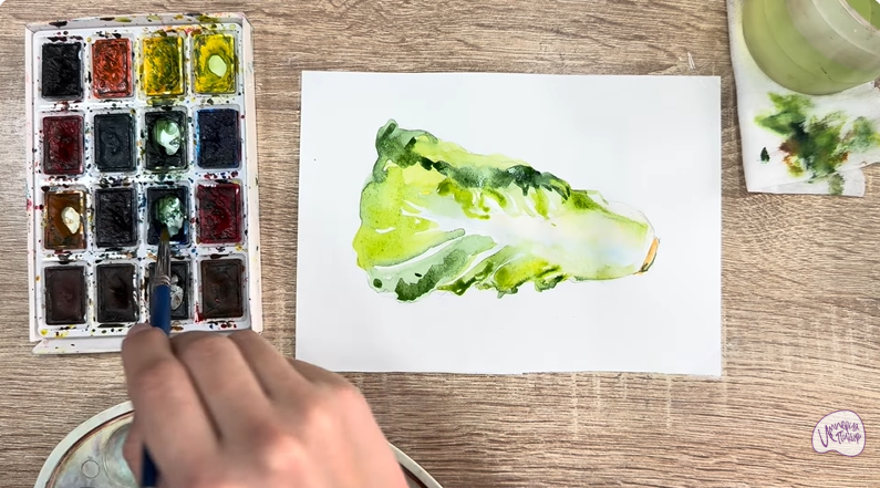 Рисуем Пекинская капуста