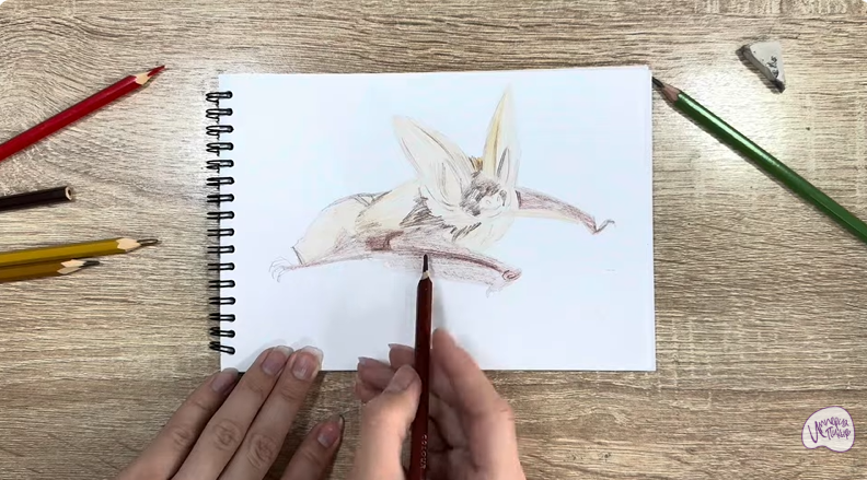 Рисуем Бурый ушан