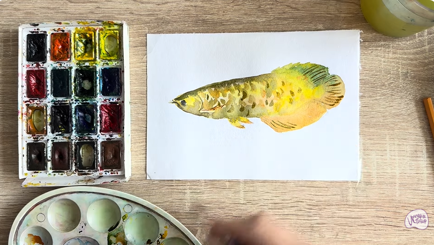 Рисуем Аравана